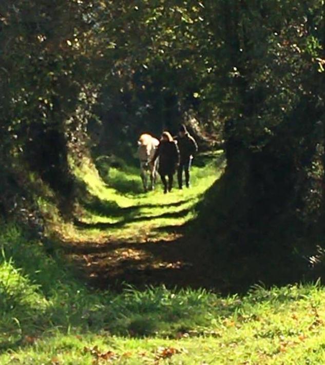 Red Gate Cottage Saulgond Esterno foto